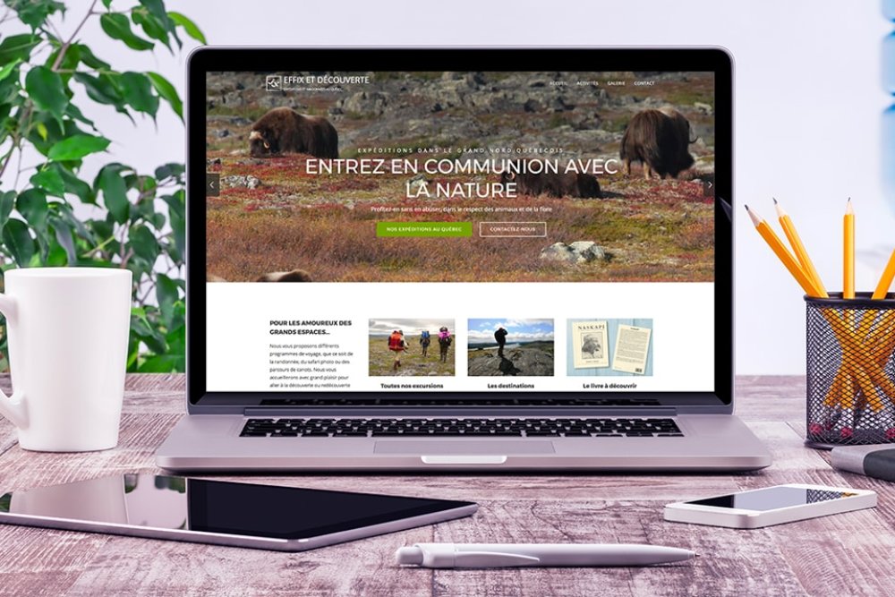 Site Effix et Découverte